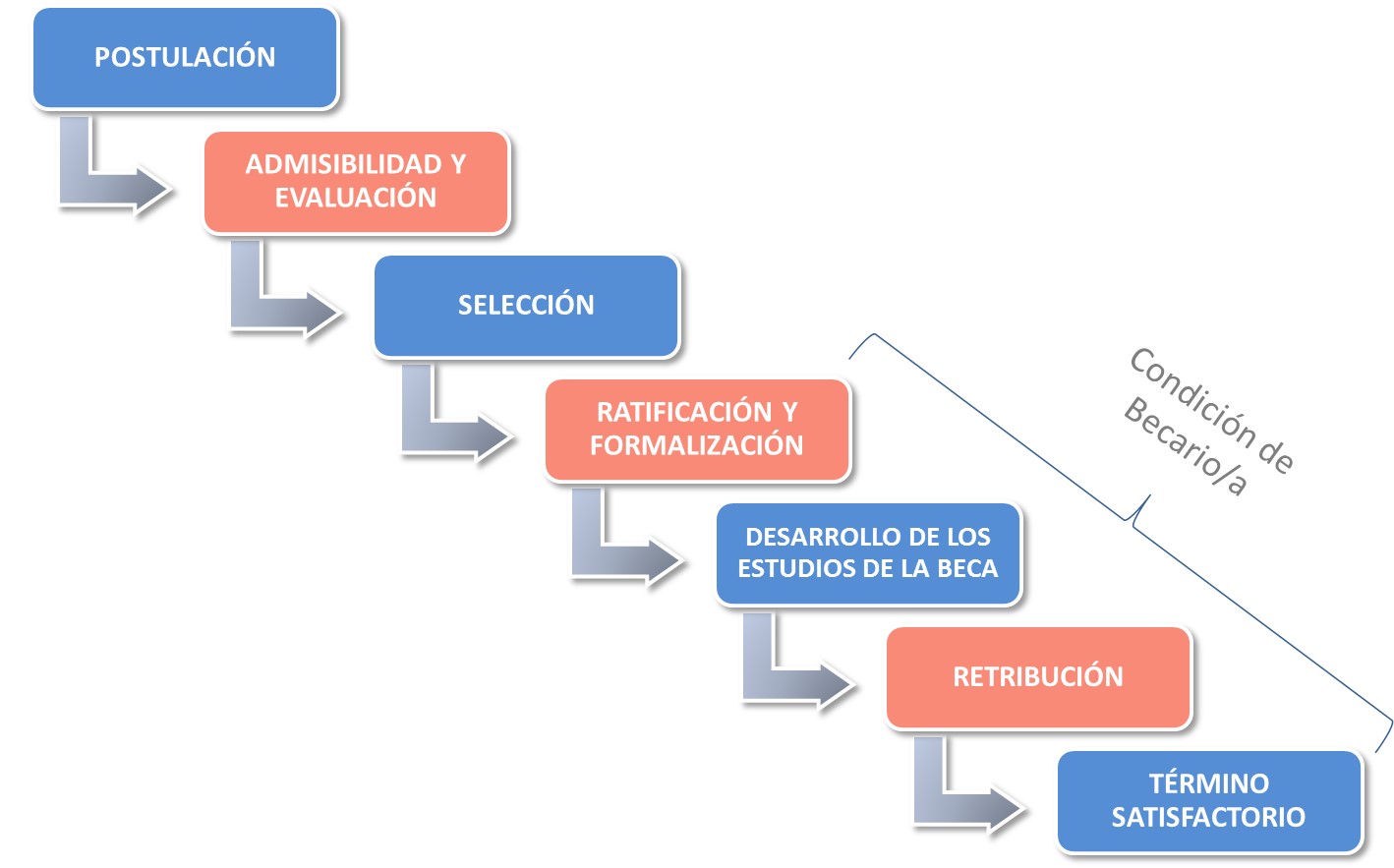 Ciclo Beca